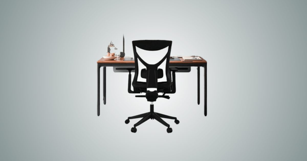 Gabbro Ergonomic Office Chair back