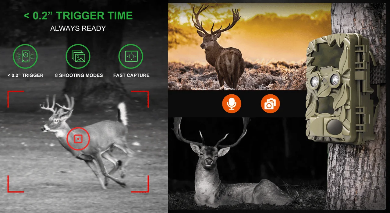 Choosing The Right Trail Cam