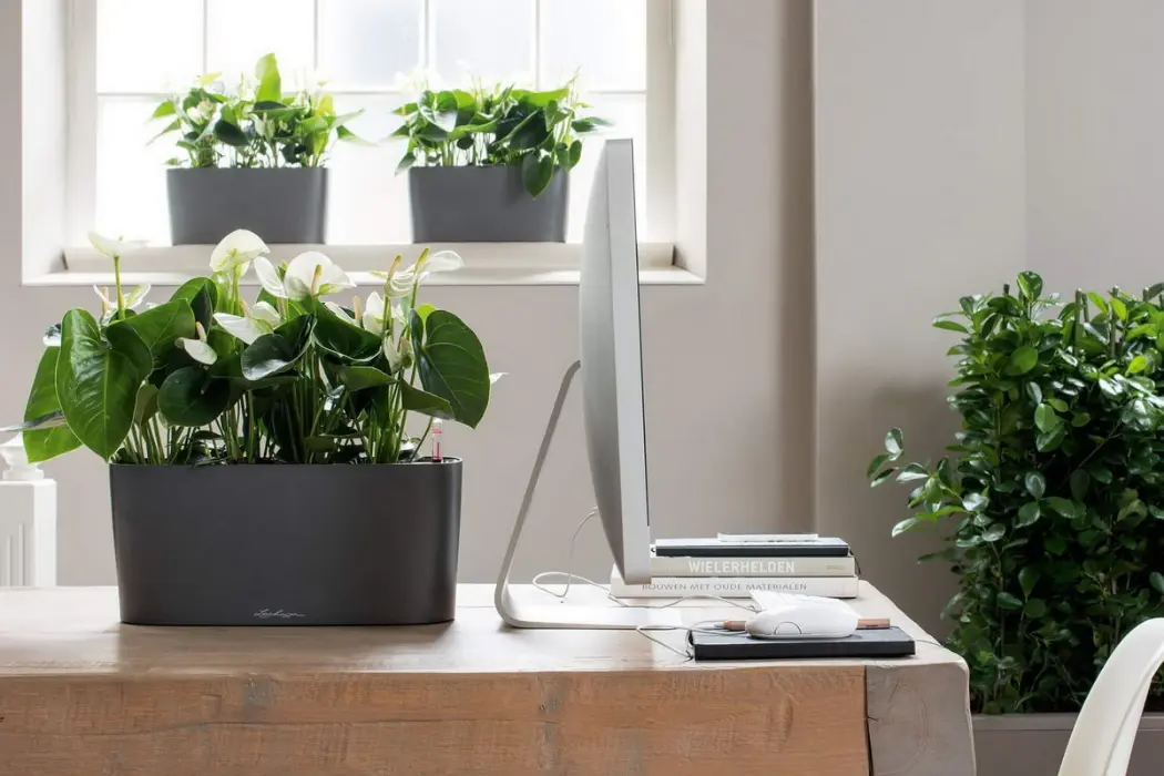 7 Best Smart Plant Pots for Indoor DELTA 10 Charcoal Metallic