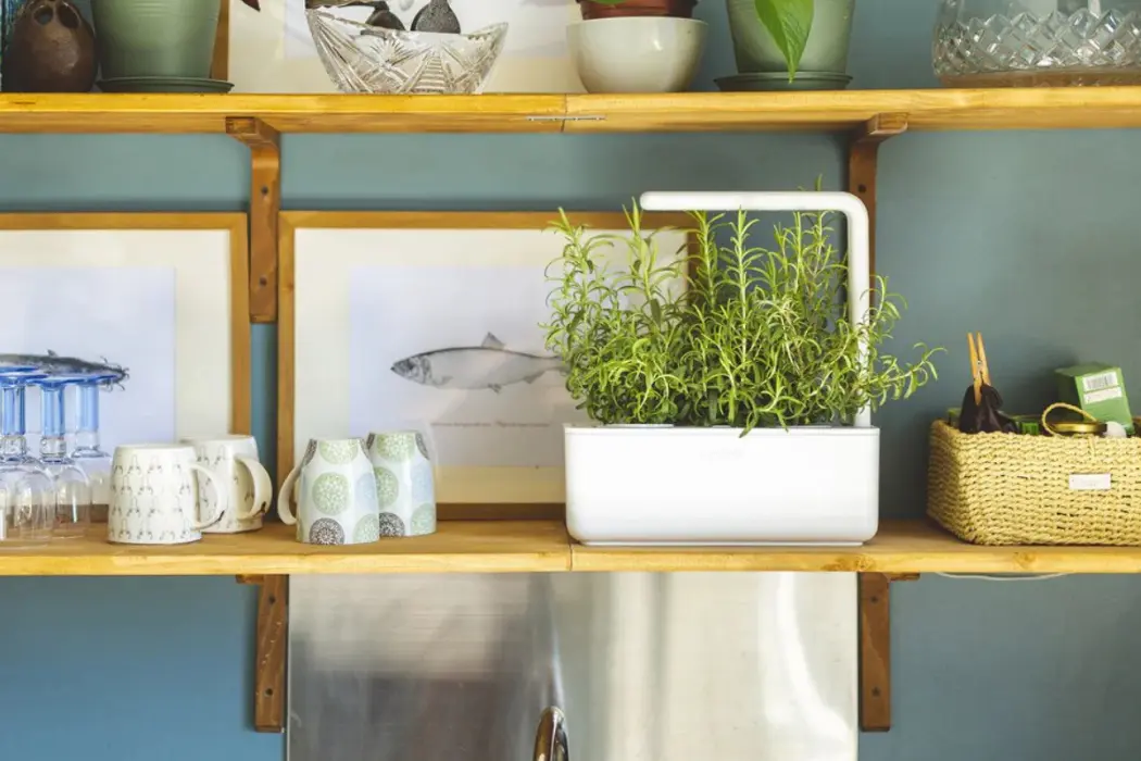 7 Best Smart Plant Pots for Indoor The Smart Garden 3