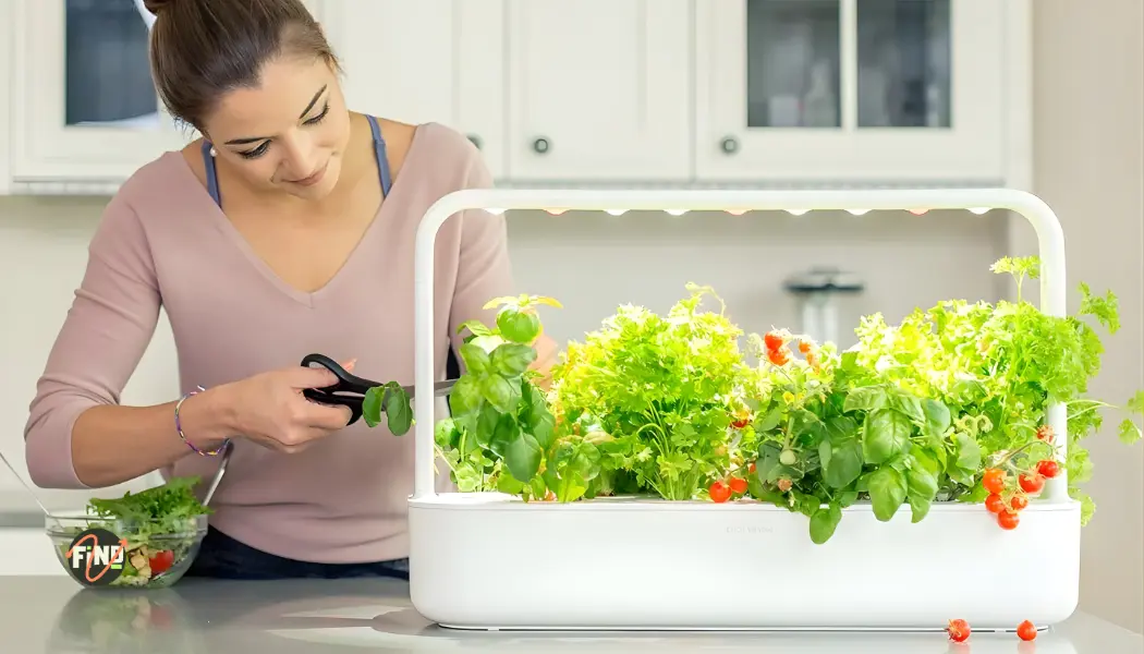 Smart Garden 9 Pro Indoor Garden Review How It Works Step-by-Step Buying Guide