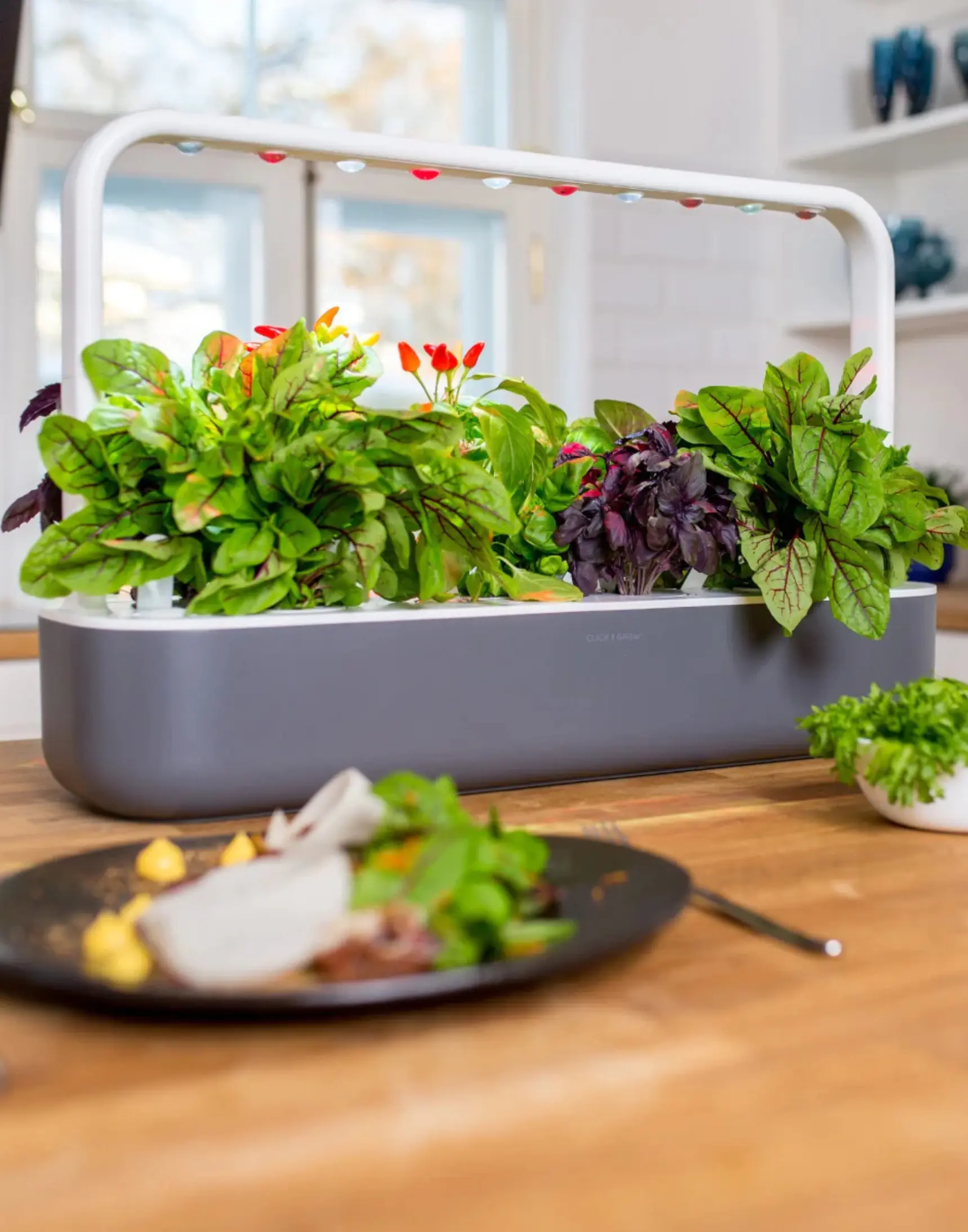 Smart Garden 9 Pro Indoor Garden Review Smart Garden 9 Pro offer