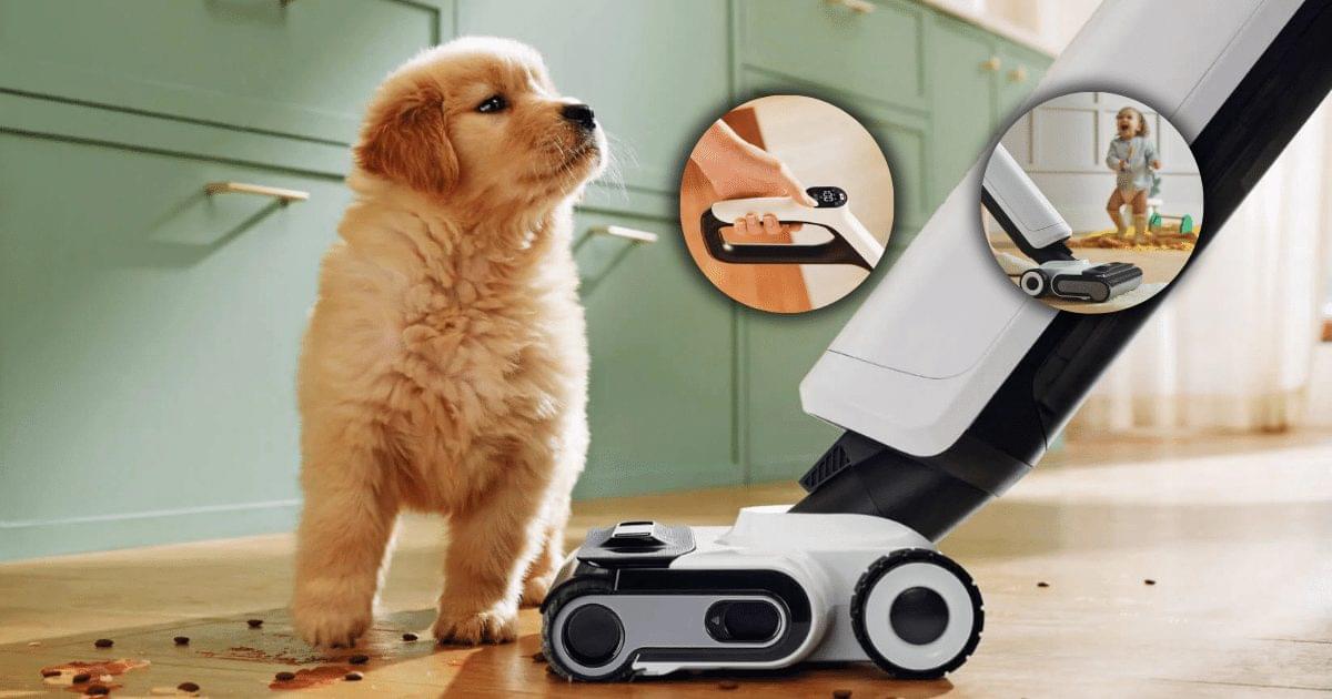 Best 10 wet dry vacuum cleaner in 2025 Roborock Flexi Pro